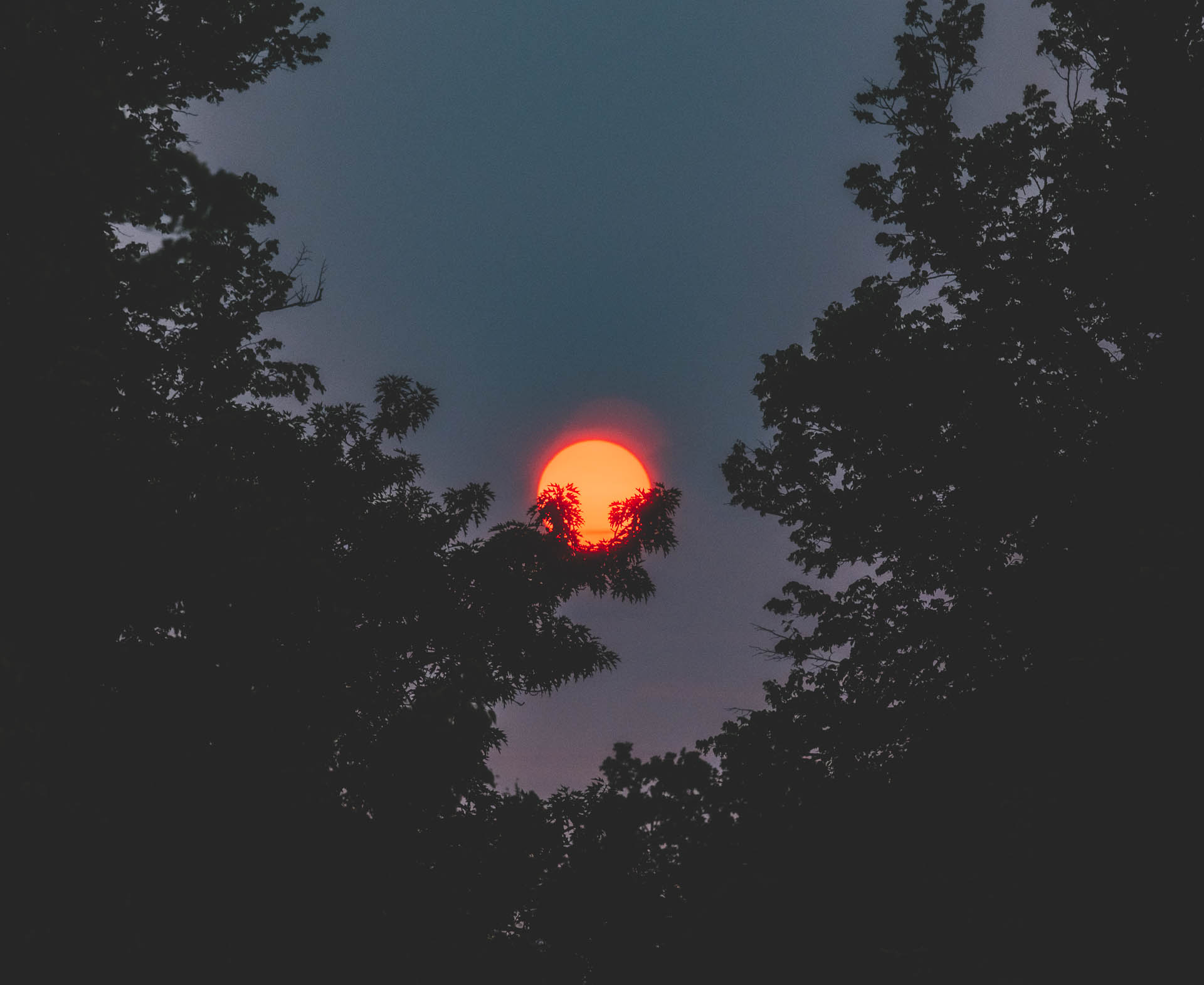 20250603_Luebeck_Abendsonne_00000000007