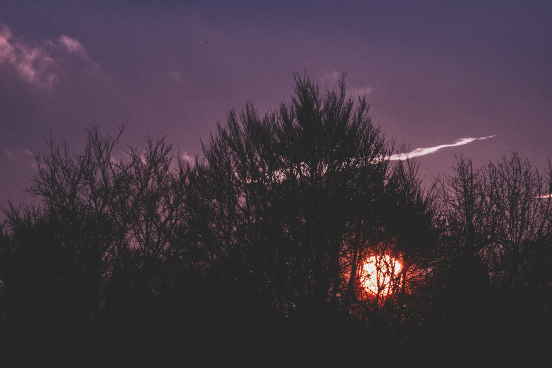 20260107_Luebeck_00000000027