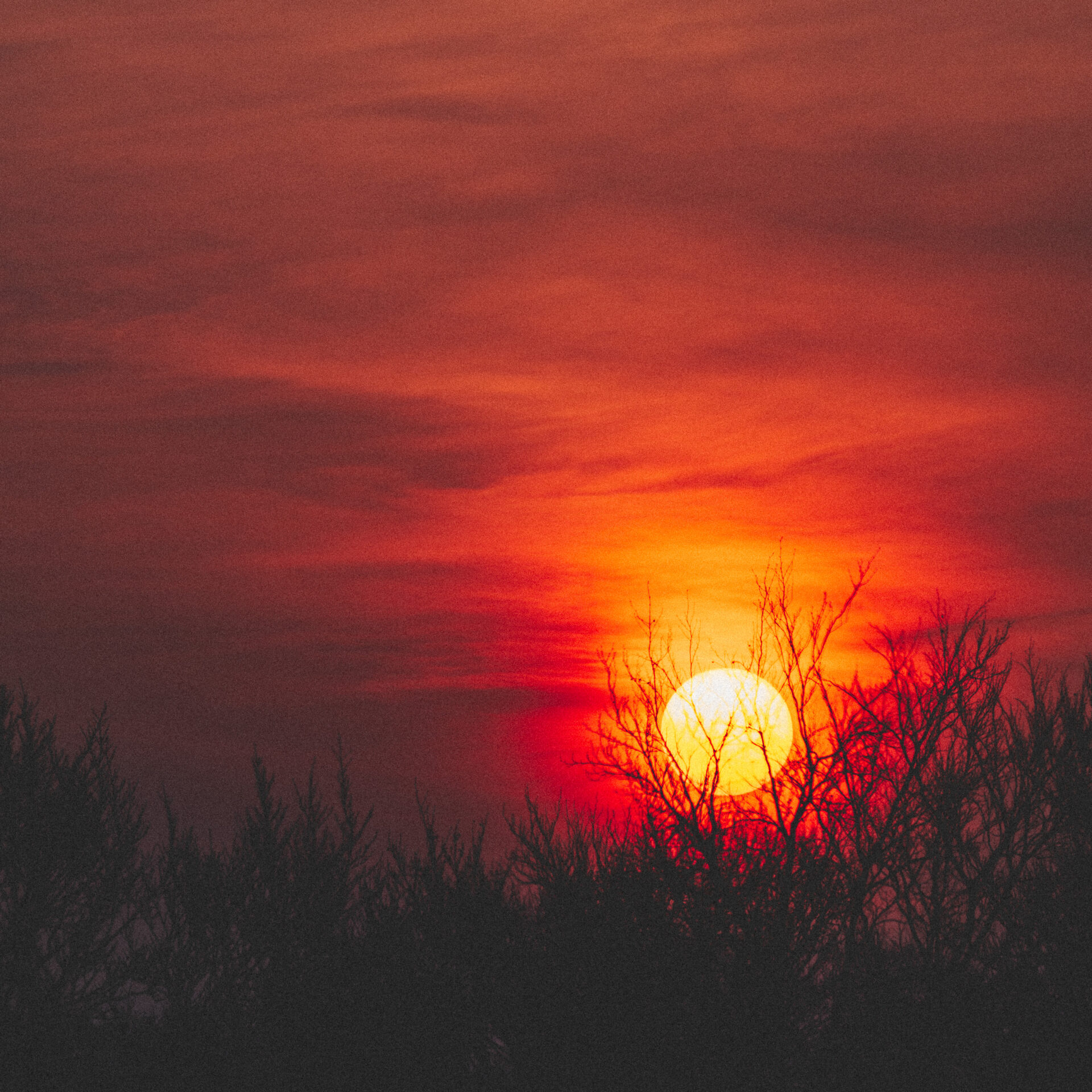 20260123_Luebeck_00000000010